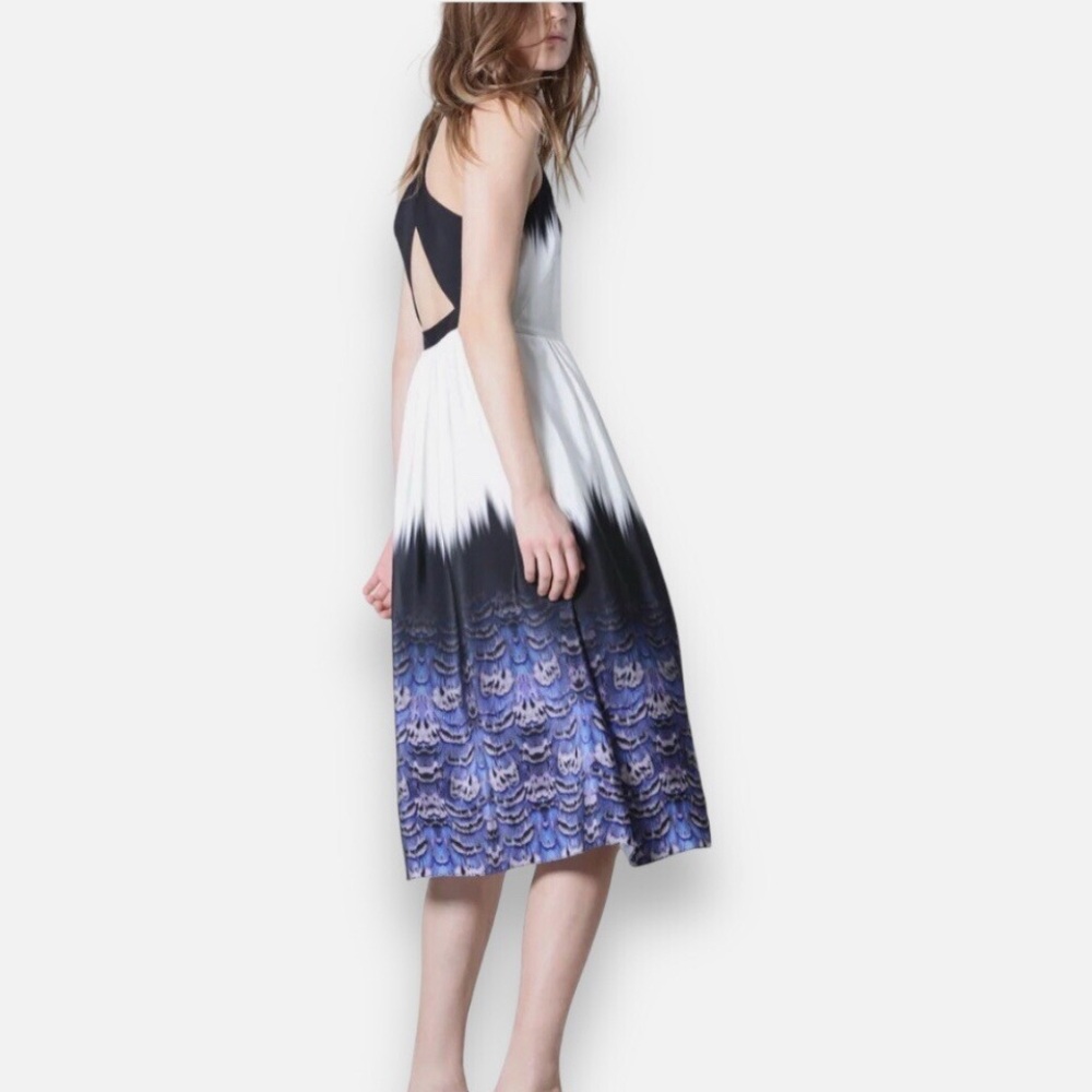 Tibi Silk Midi Dress tie dye ombré feather